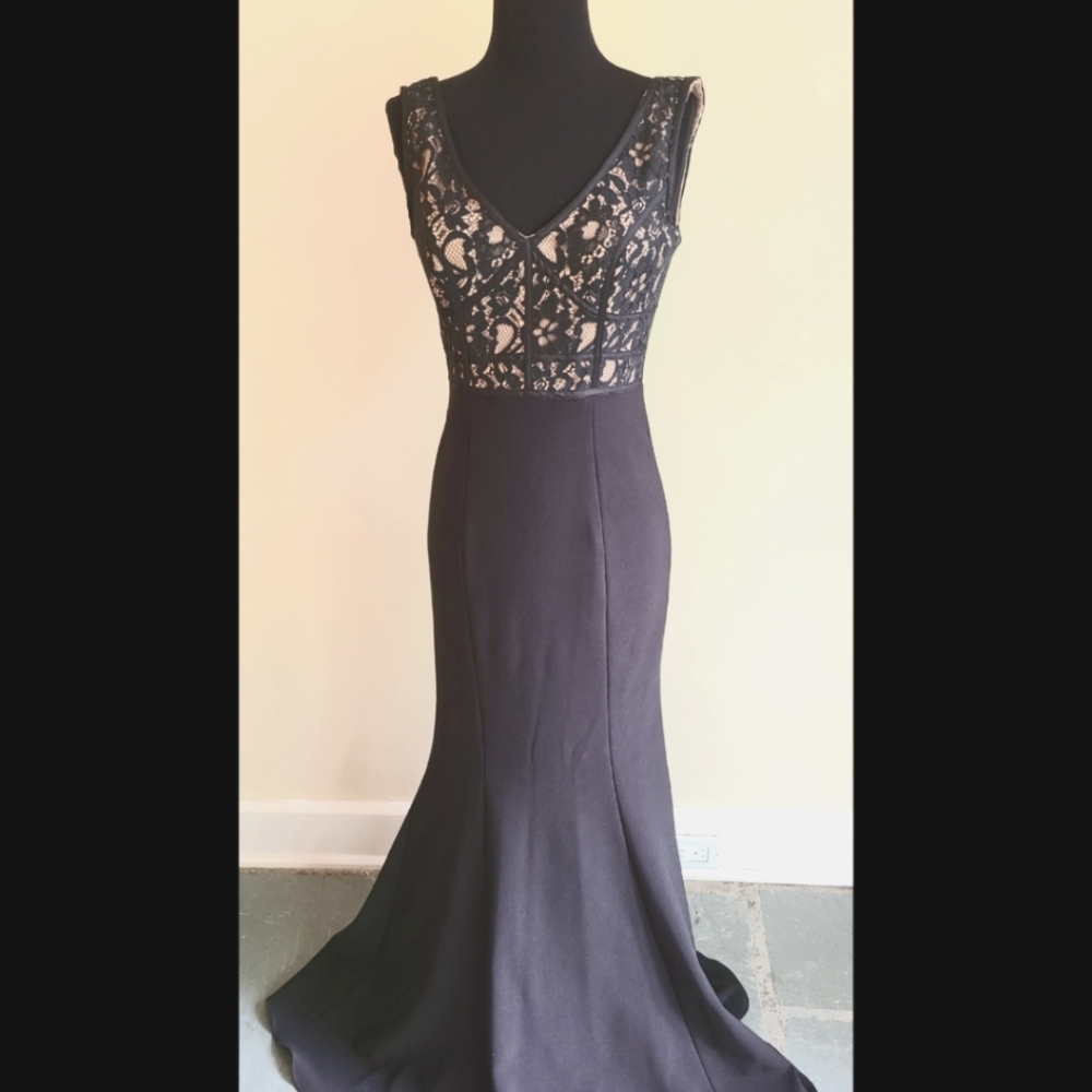 Sultry Cache Lace Bodice Gown
